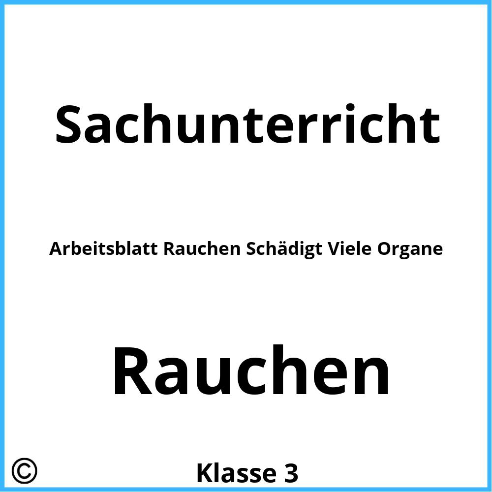 Arbeitsblatt Rauchen Schädigt Viele Organe