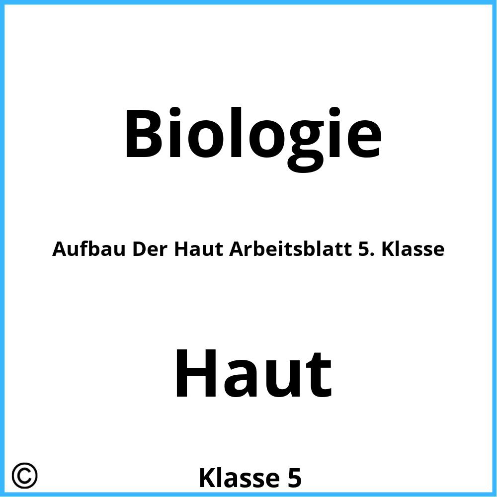 Aufbau Der Haut Arbeitsblatt 5. Klasse