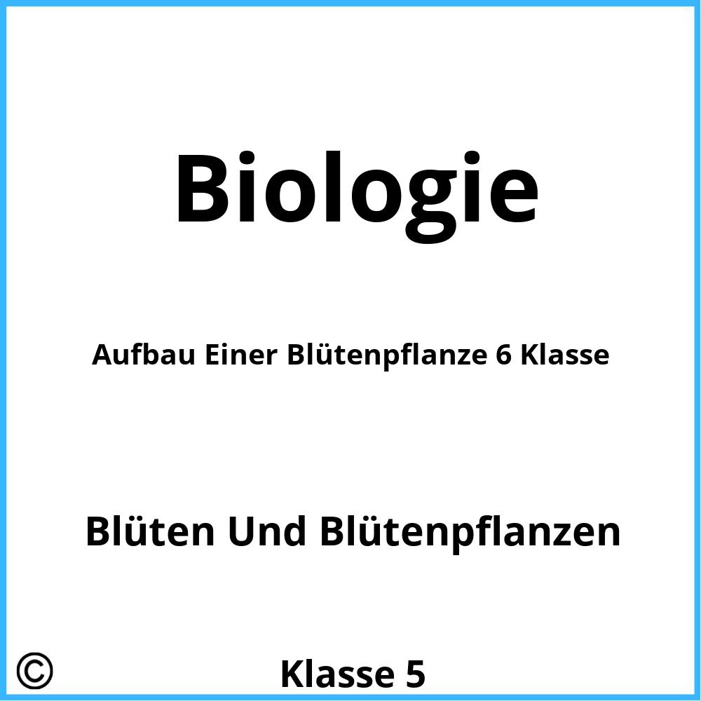 Aufbau Einer Blütenpflanze 6 Klasse