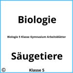 Biologie 5 Klasse Gymnasium Arbeitsblätter