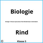 Biologie 5 Klasse Gymnasium Rind Wiederkäuer Arbeitsblatt