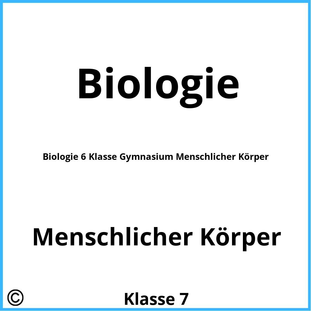 Biologie 6 Klasse Gymnasium Menschlicher Körper