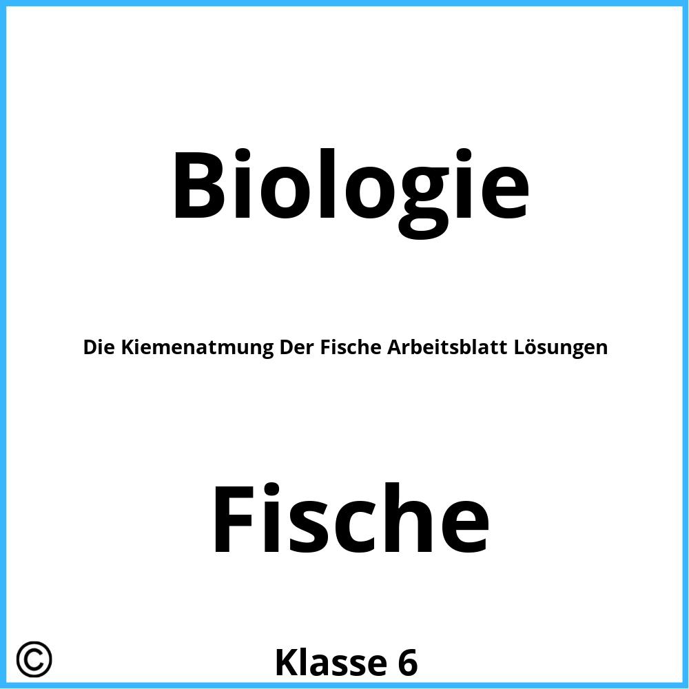 Die Kiemenatmung Der Fische Arbeitsblatt Lösungen