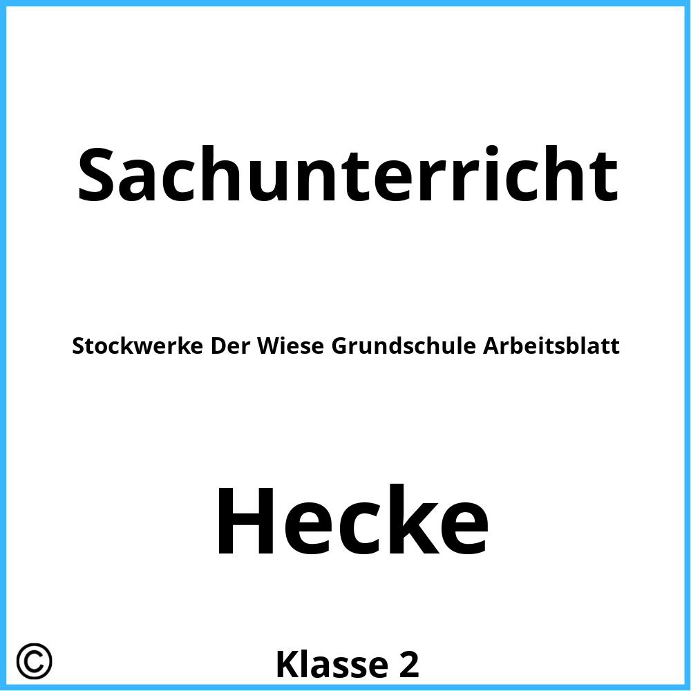 Stockwerke Der Wiese Grundschule Arbeitsblatt