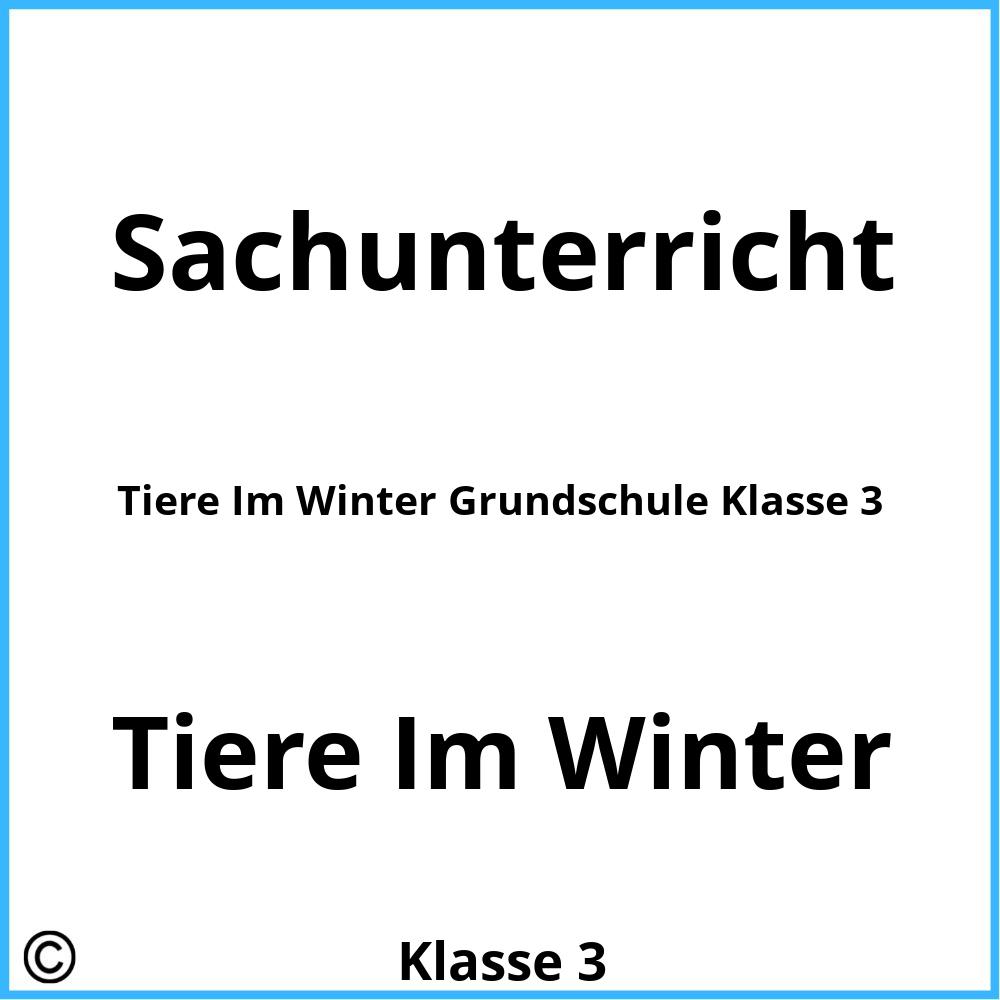 Tiere Im Winter Grundschule Klasse 3