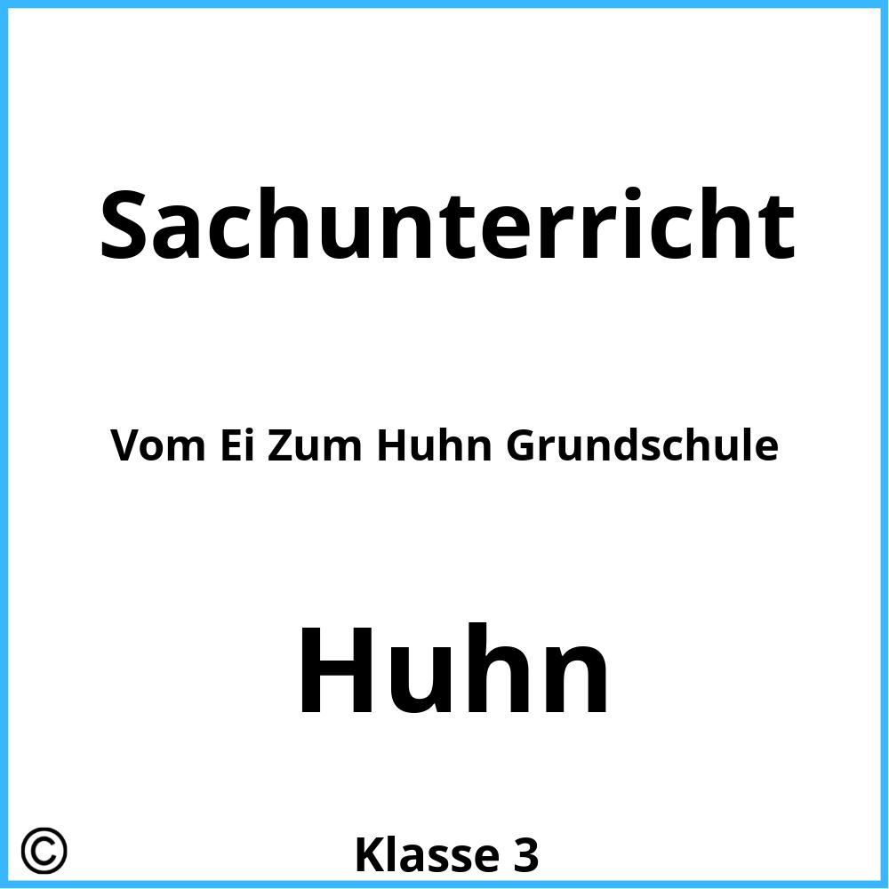 Vom Ei Zum Huhn Grundschule