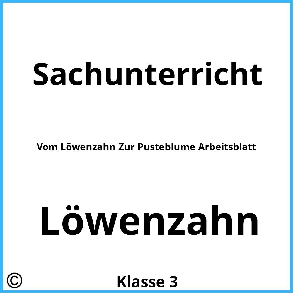 Vom Löwenzahn Zur Pusteblume Arbeitsblatt