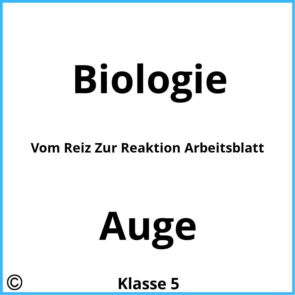 Vom Reiz Zur Reaktion Arbeitsblatt