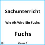 Wie Alt Wird Ein Fuchs